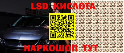 a pvp Кимры