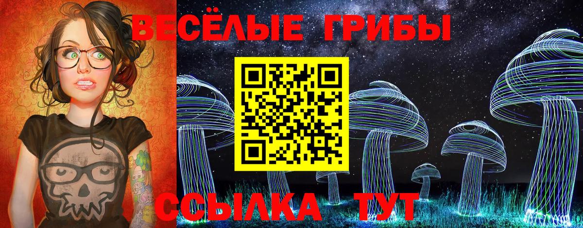 Псилоцибиновые грибы MAGIC MUSHROOMS  Галлюциногенные грибы Magic Shrooms  Кольчугино  Вход с VPN 