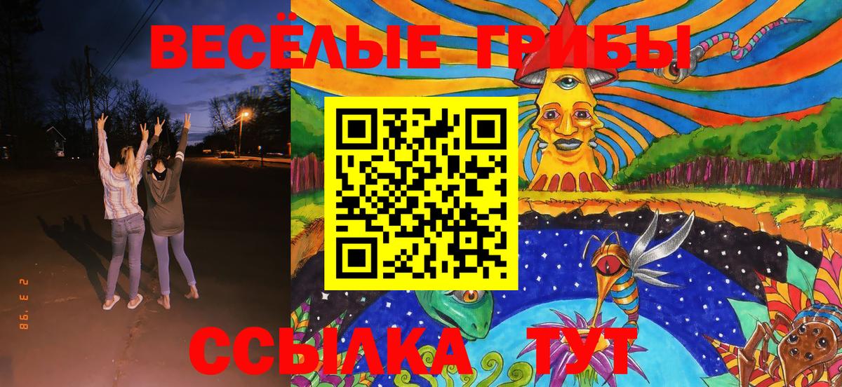Галлюциногенные грибы Psilocybe Кольчугино
